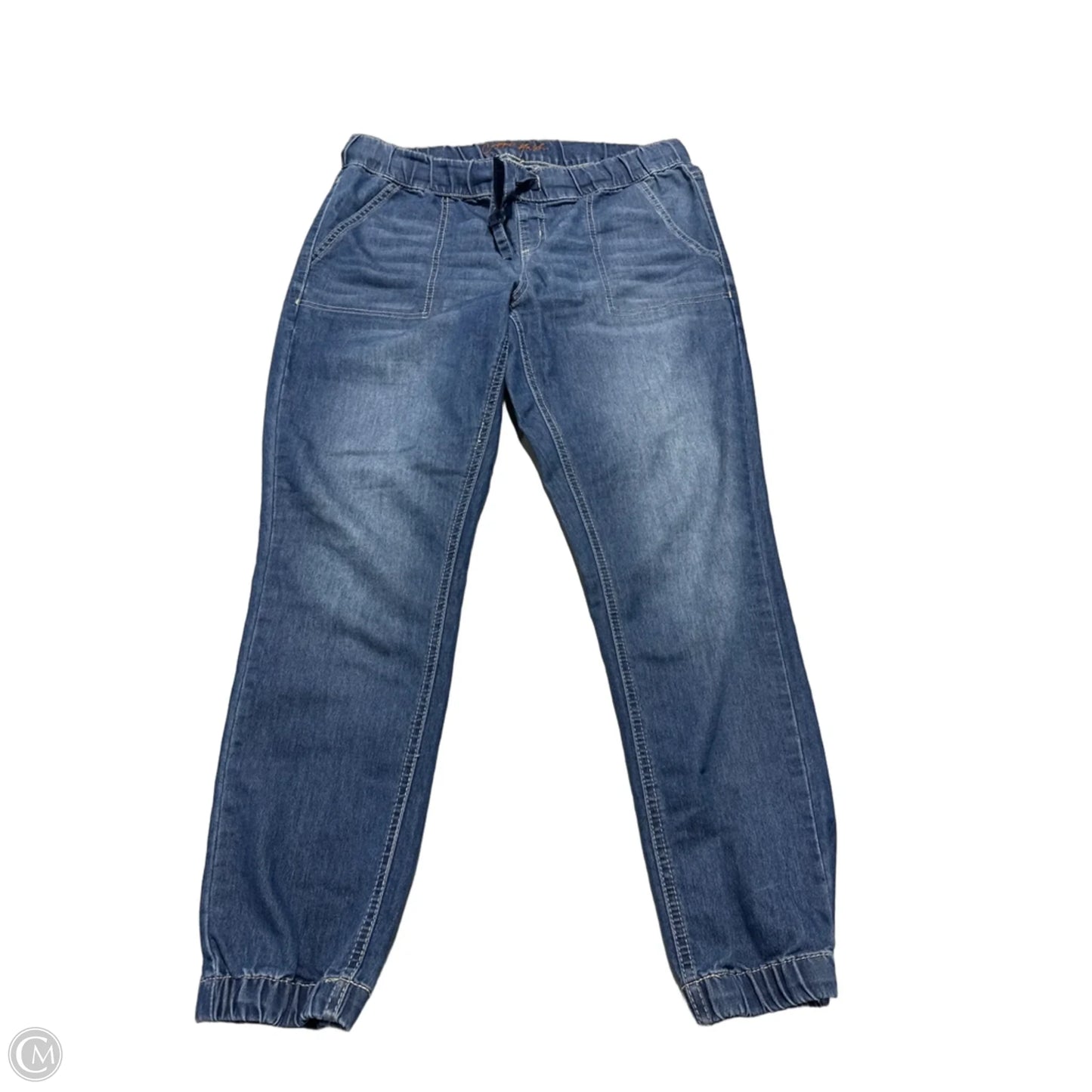 Pants Joggers By Cme In Blue, Size: 10