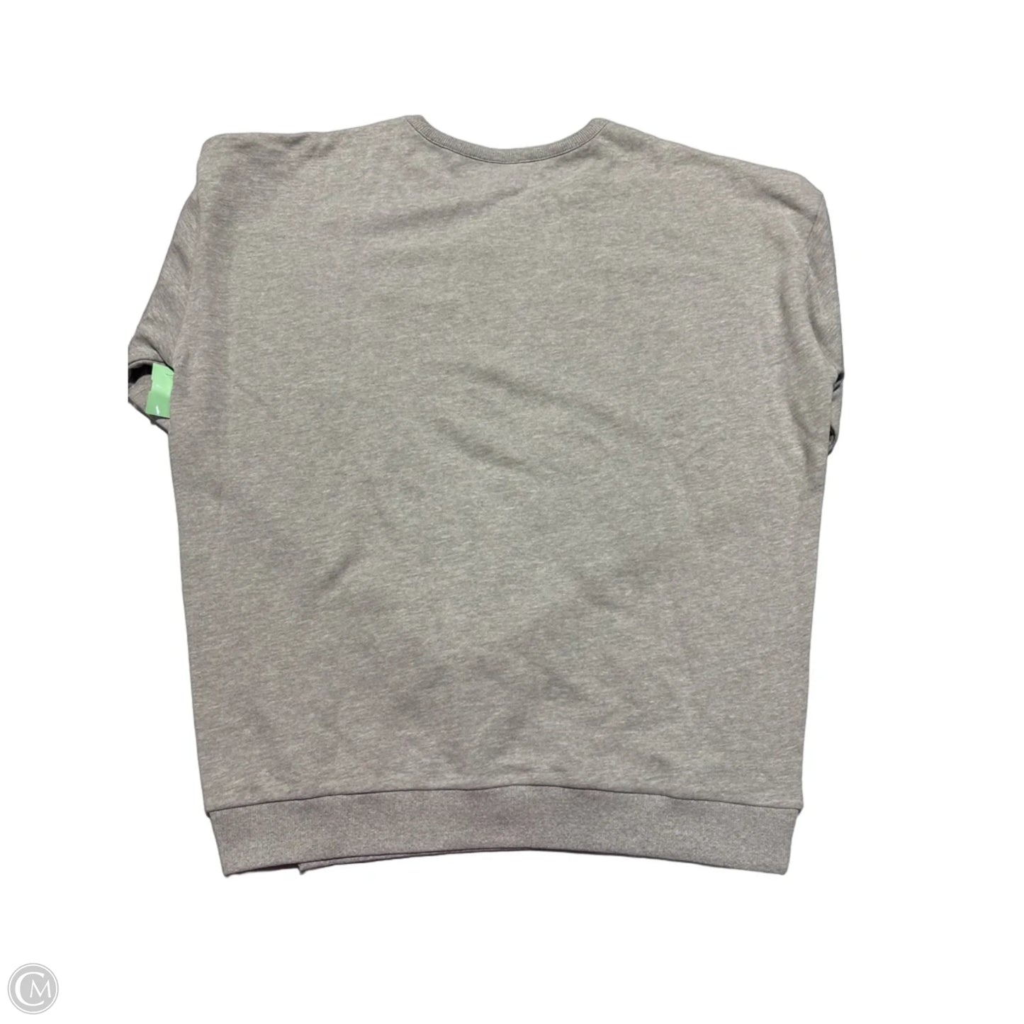 Top Long Sleeve By Cmc In Grey, Size: 1x