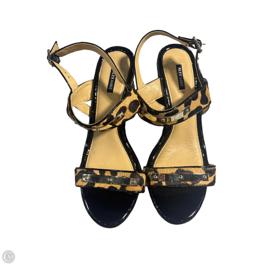 Shoes Heels Wedge By Alex Marie In Black, Size: 10