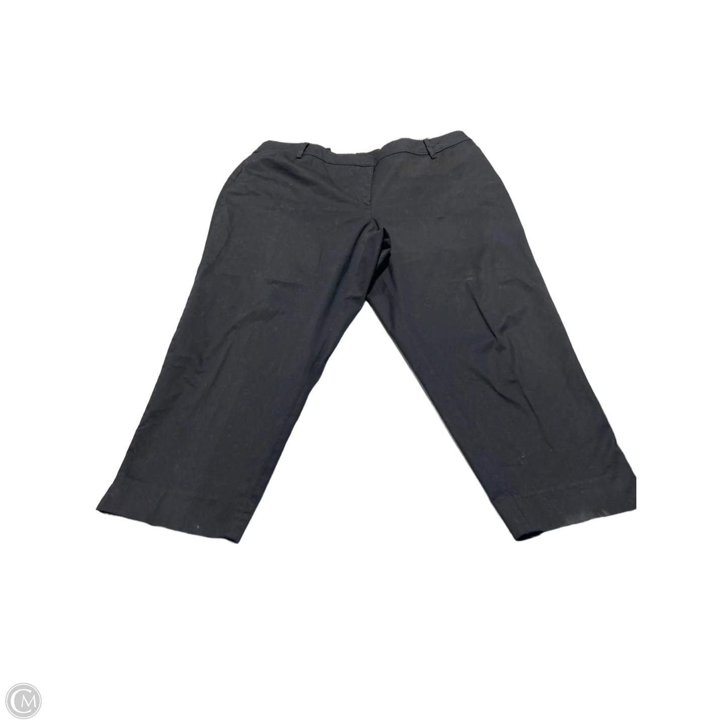 Pants Cargo & Utility By Talbots In Black, Size: 20