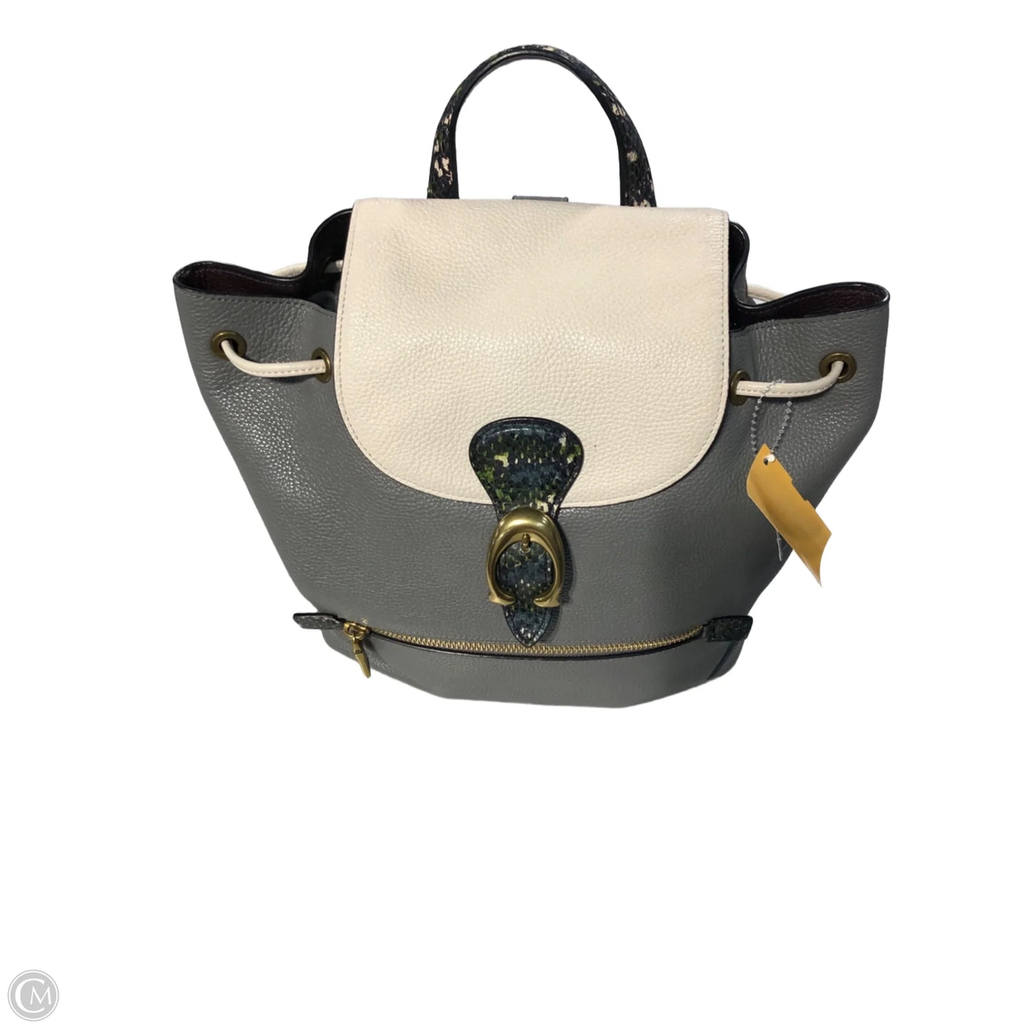 Backpack Designer By Coach, Size: Small