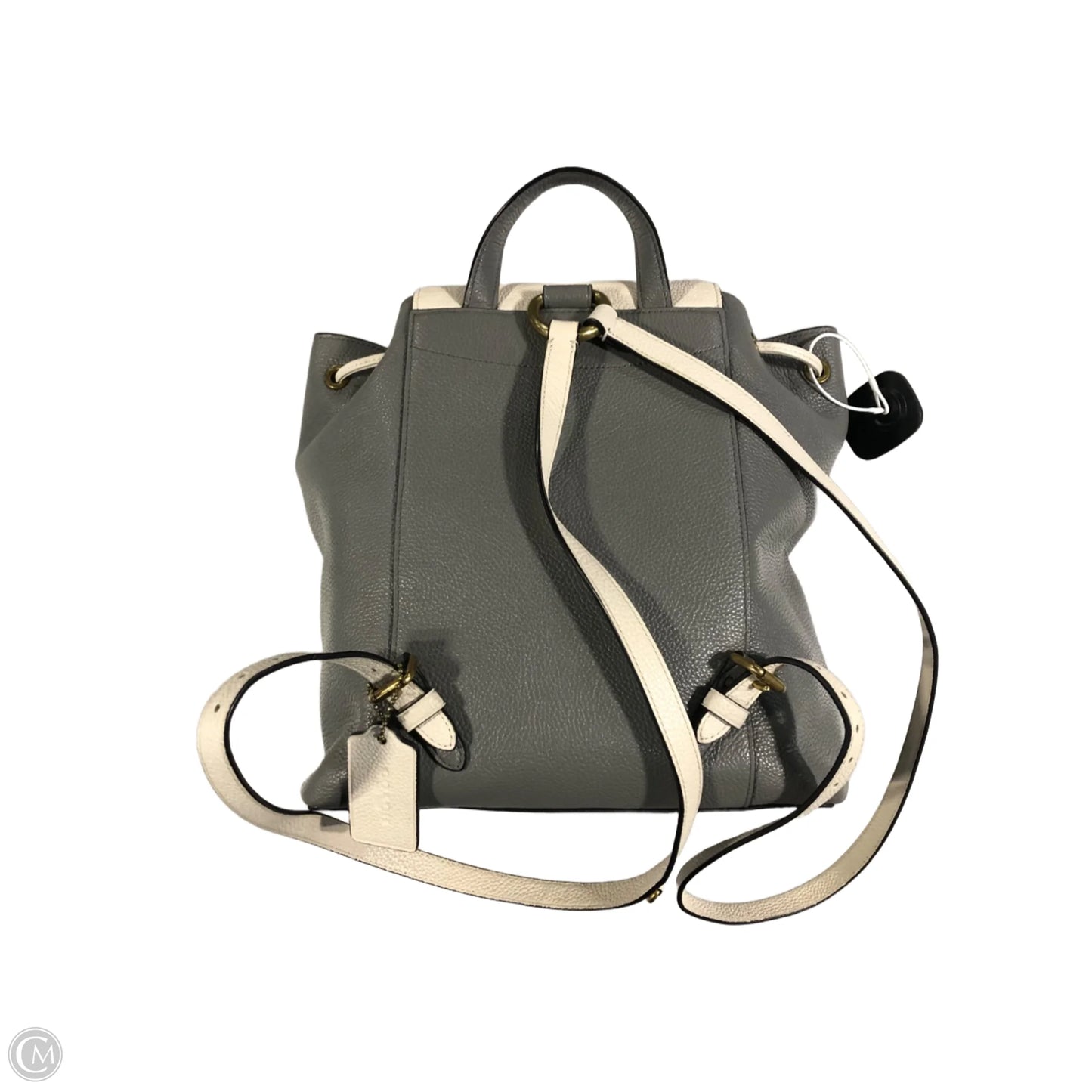 Backpack Designer By Coach, Size: Small
