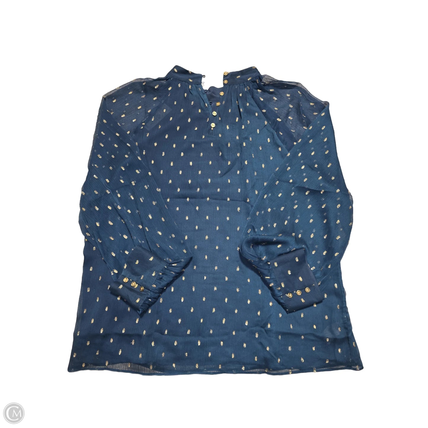 Blouse Long Sleeve By Ann Taylor In Teal, Size: L