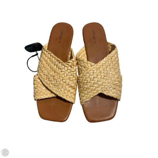 Sandals Flats By Indigo Rd In Tan, Size: 9.5