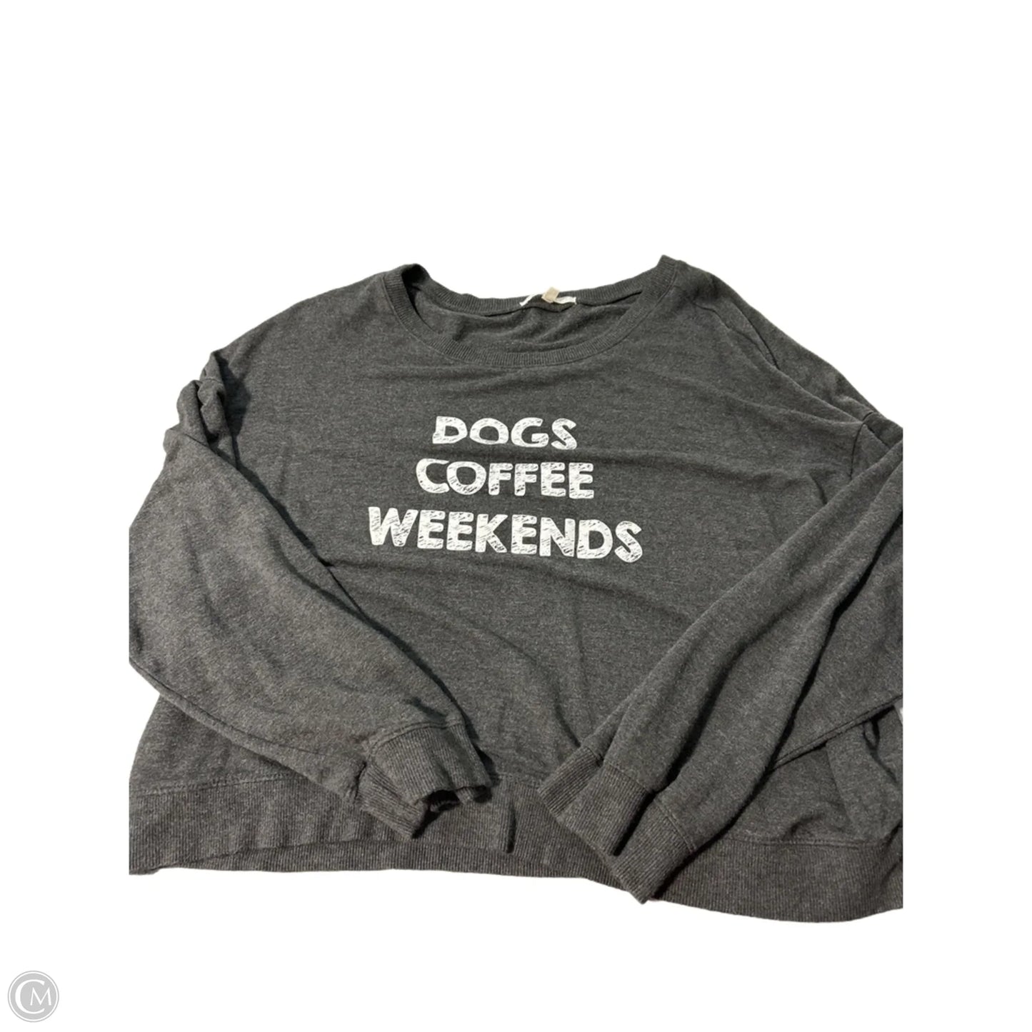 Top Long Sleeve By Z Supply In Grey, Size: L