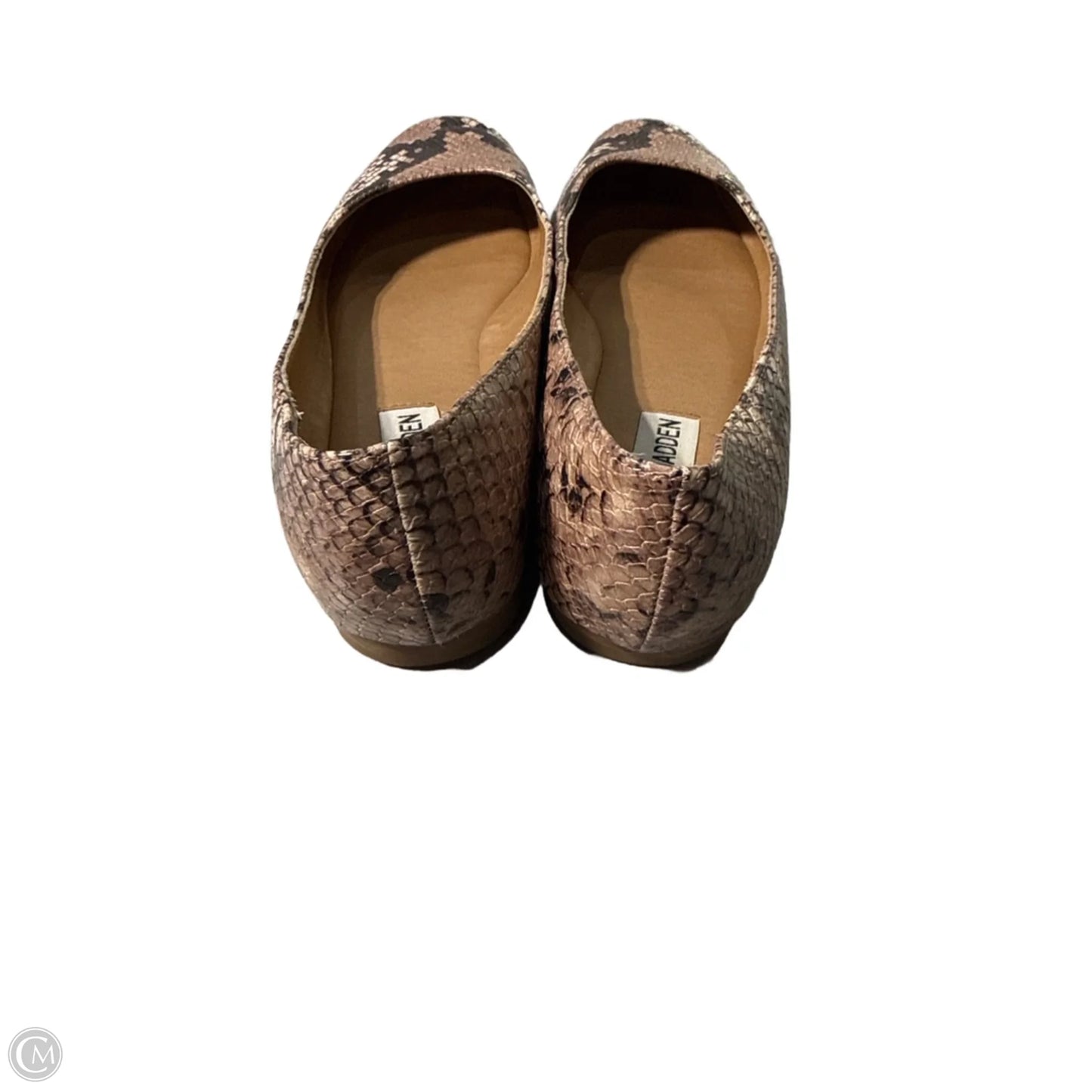 Shoes Flats By Steve Madden In Snakeskin Print, Size: 7