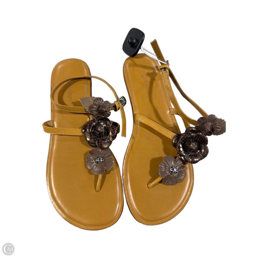 Shoes Flats By Brighton In Brown, Size: 7.5