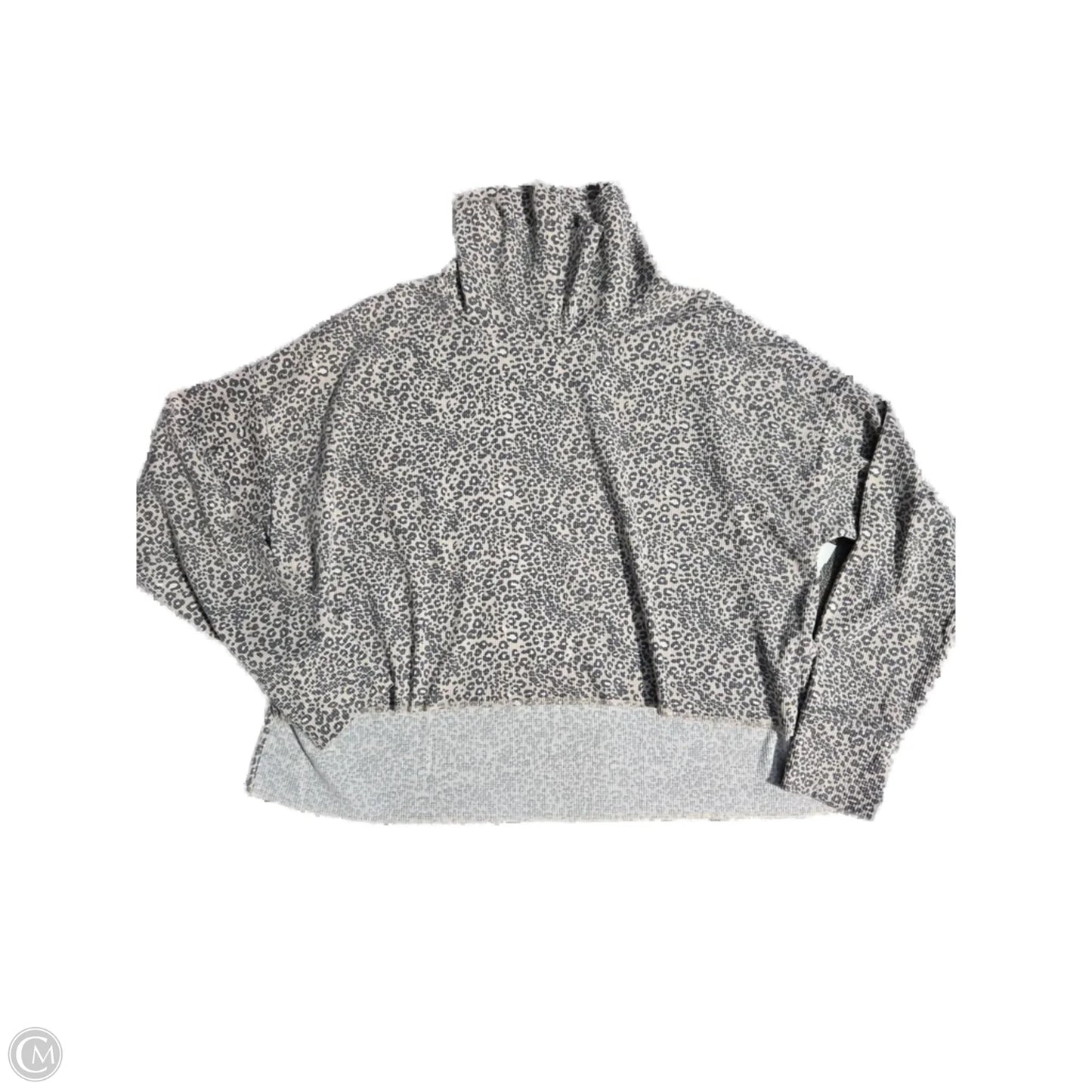 Top Long Sleeve By American Eagle In Animal Print, Size: M