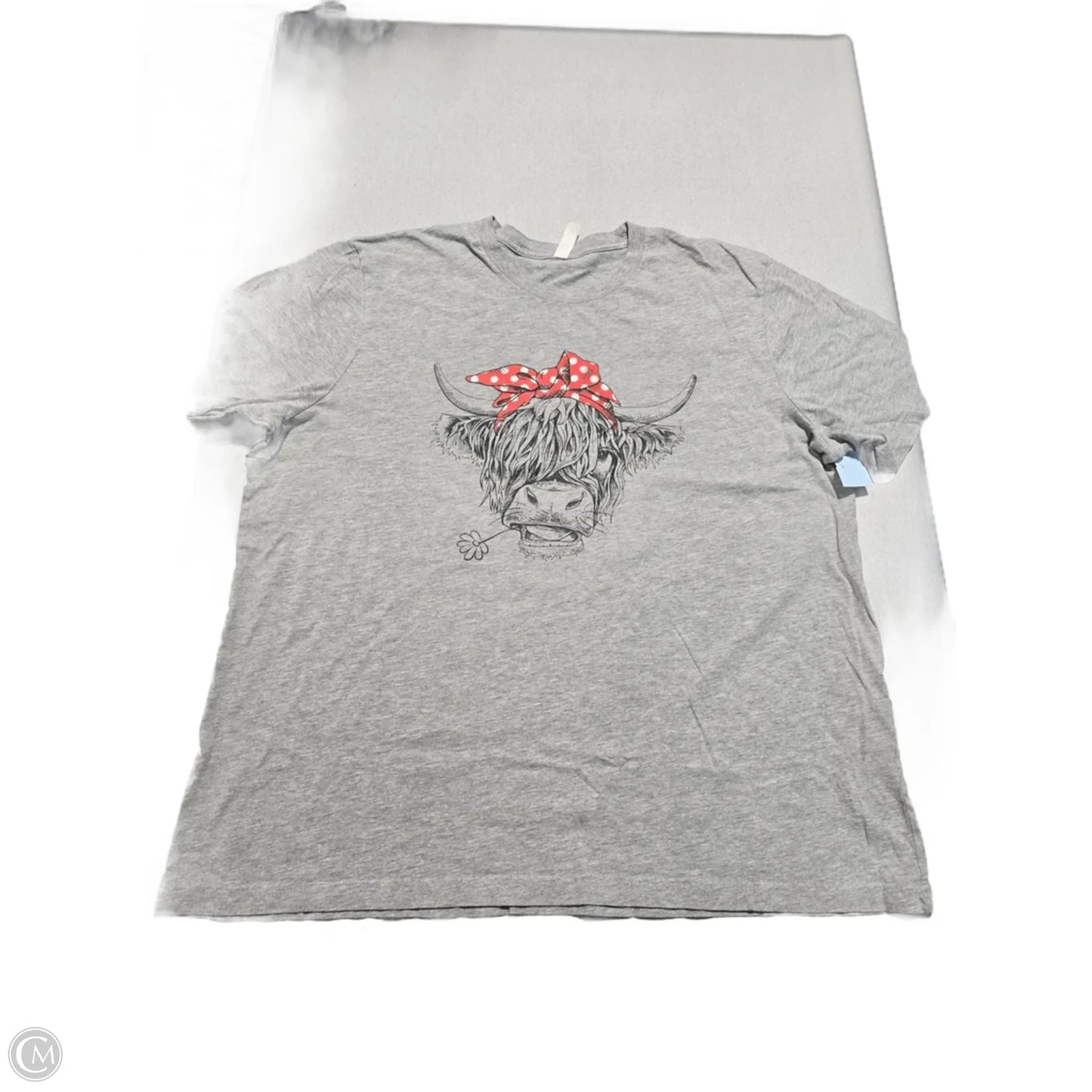 Top Short Sleeve By Canvas In Grey, Size: Xl