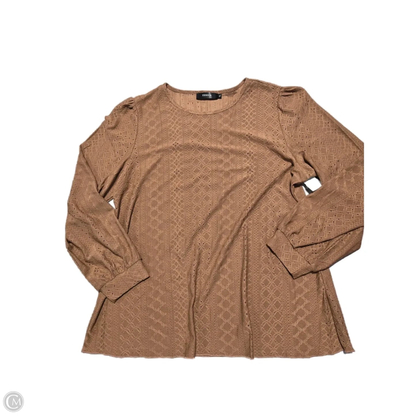 Top Long Sleeve By Zesica In Brown, Size: Xl