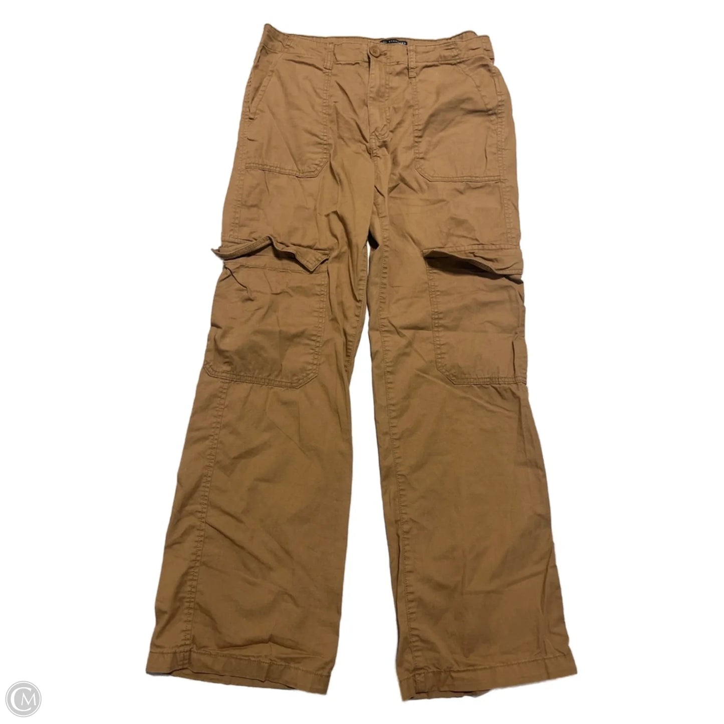 Pants Cargo & Utility By Social Standard By Sanctuary In Brown, Size: 4
