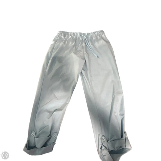 Athletic Pants By Cmc In Blue, Size: L
