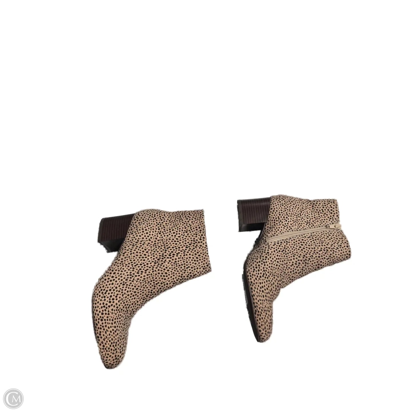 Boots Ankle Heels By Bcbgeneration In Black, Size: 8.5