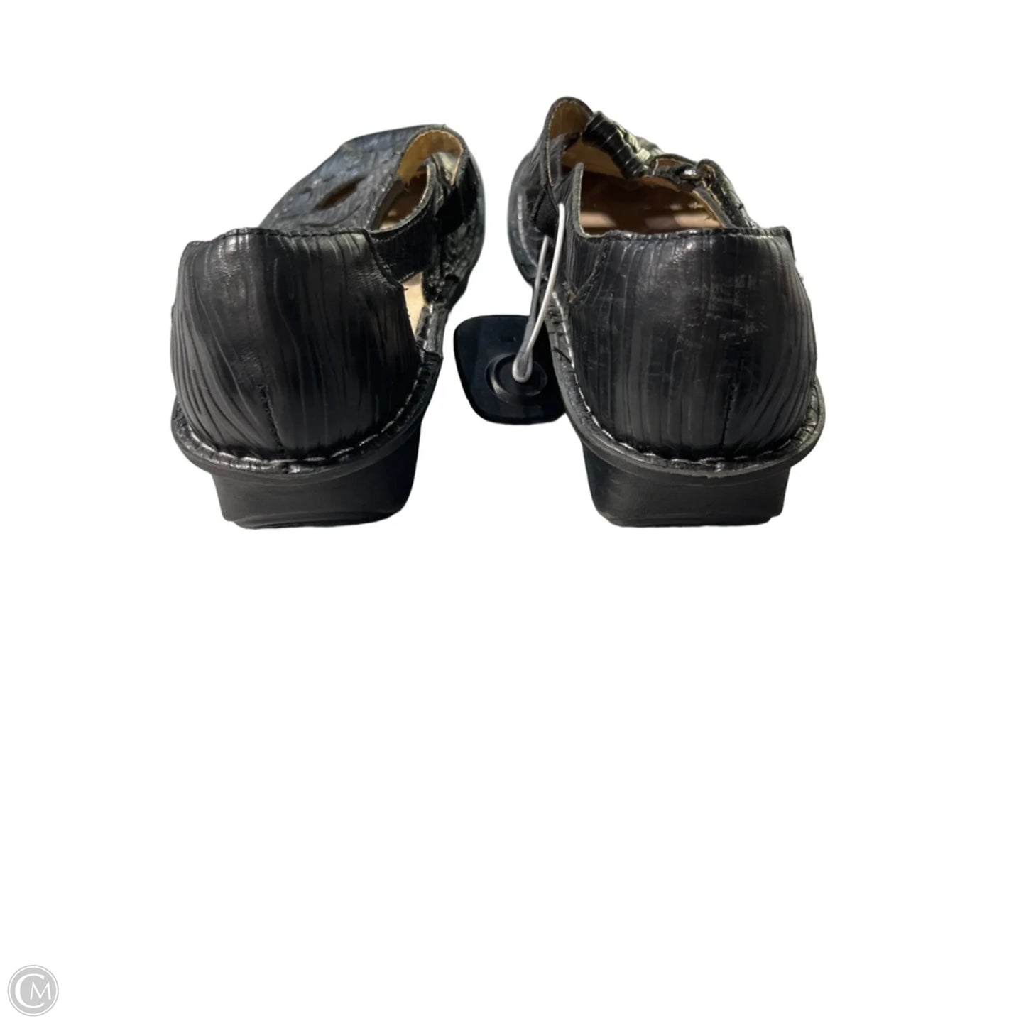 Shoes Flats By Alegria In Black, Size: 9.5