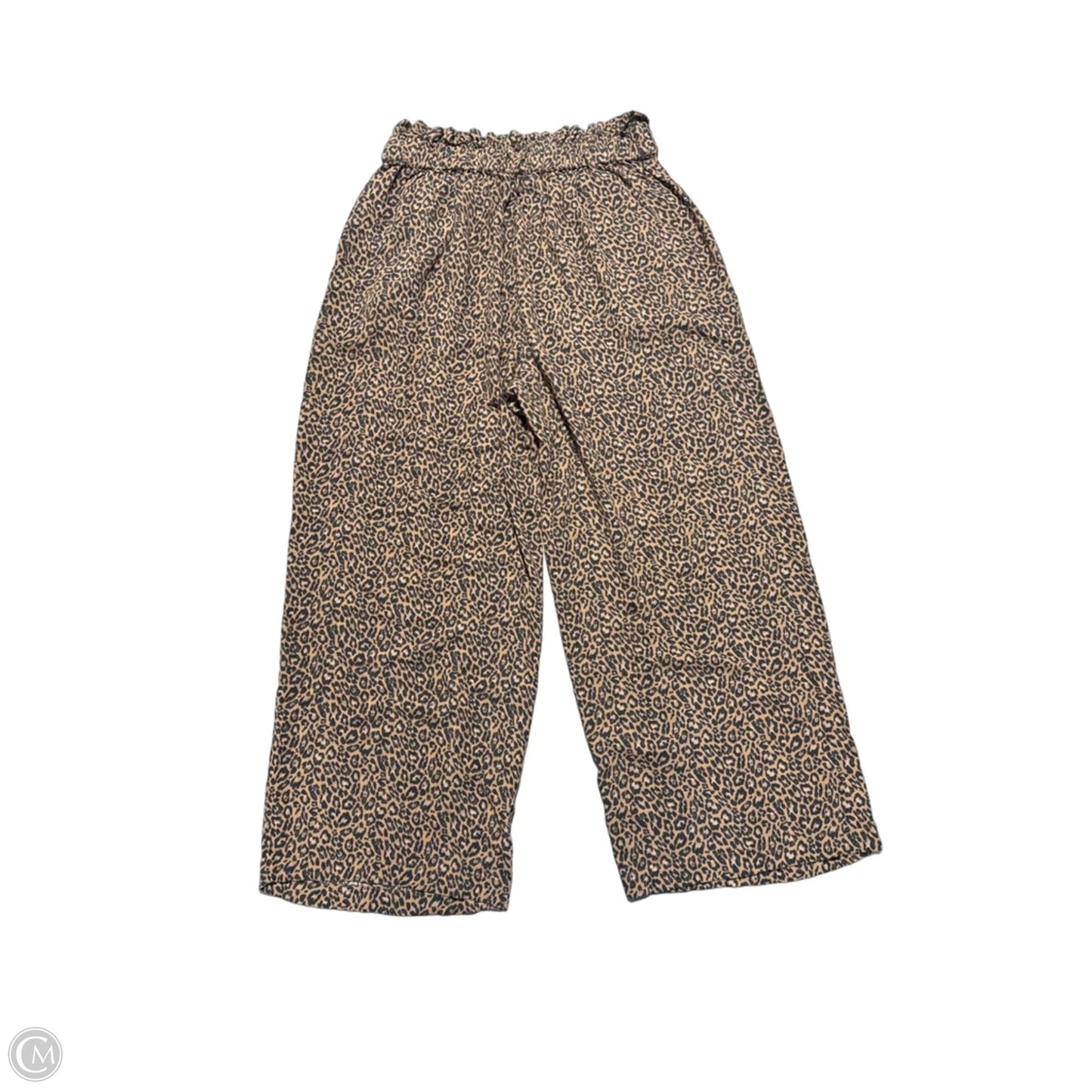 Pants Other By American Eagle In Animal Print, Size: M