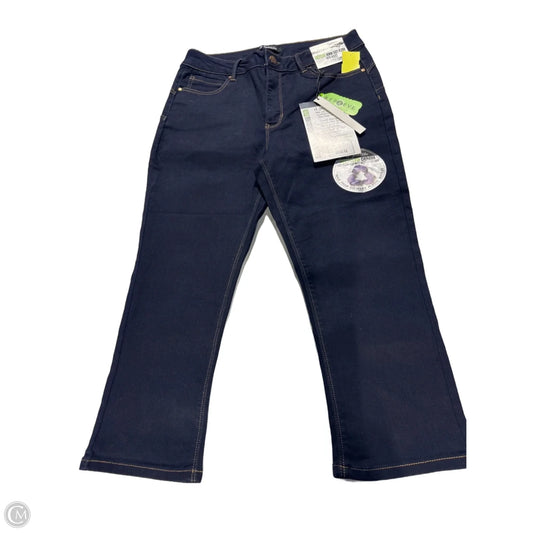 Jeans Skinny By D Jeans In Blue Denim, Size: 10
