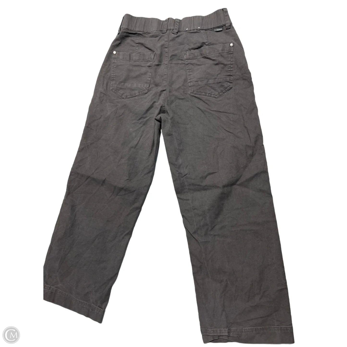 Pants Other By Toad & Co In Grey, Size: 4