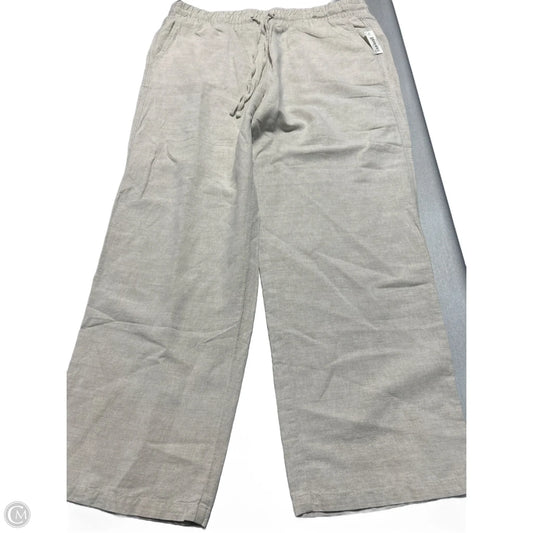 Pants Joggers By Amazon Essentials In Cream, Size: L