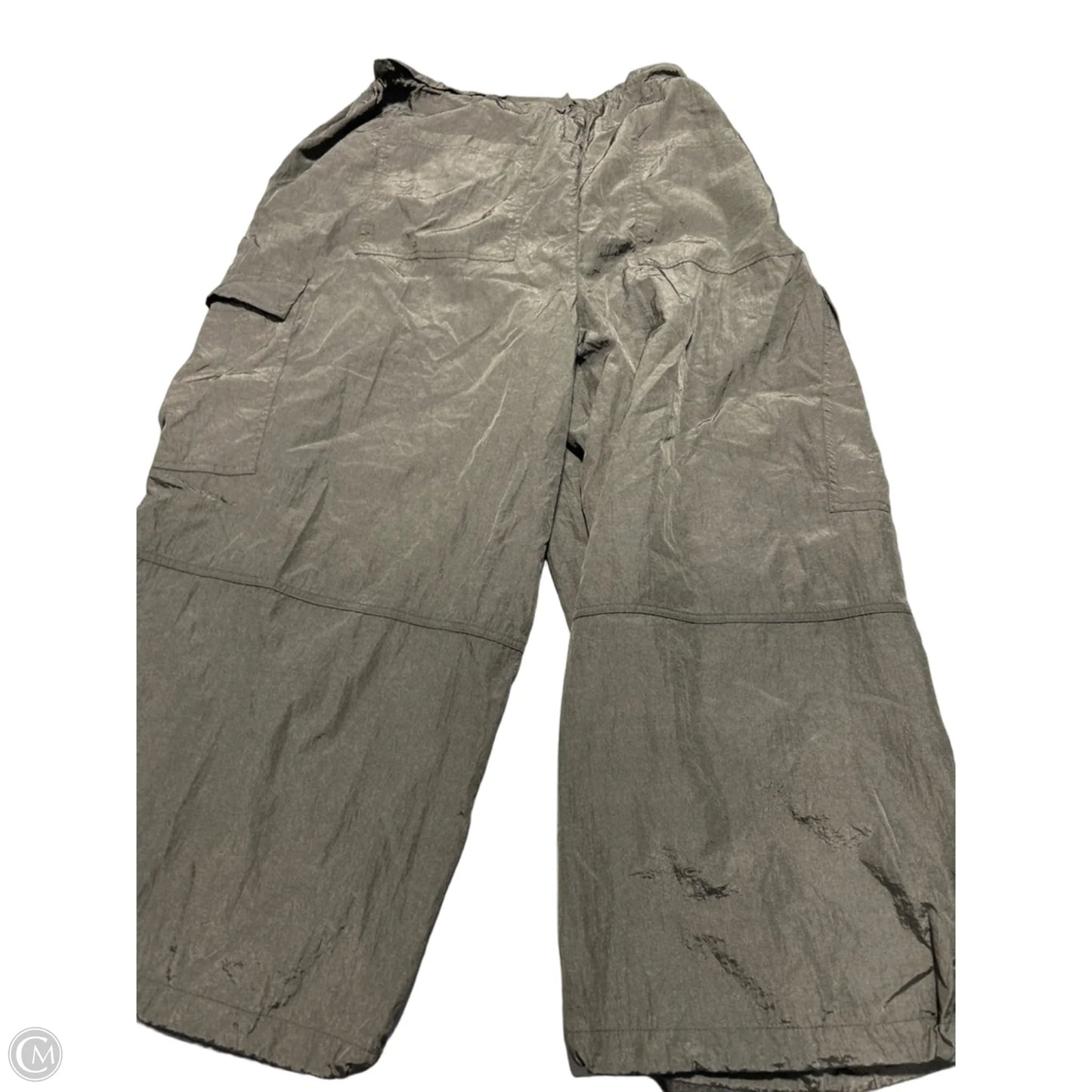 Pants Cargo & Utility By Future Collective In Grey, Size: 2x