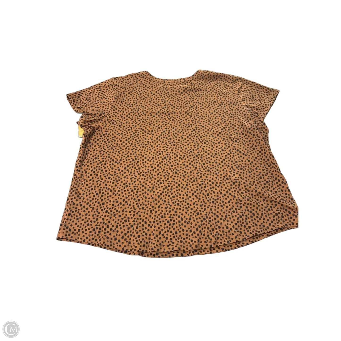 Top Short Sleeve By Sonoma In Brown, Size: Xxl