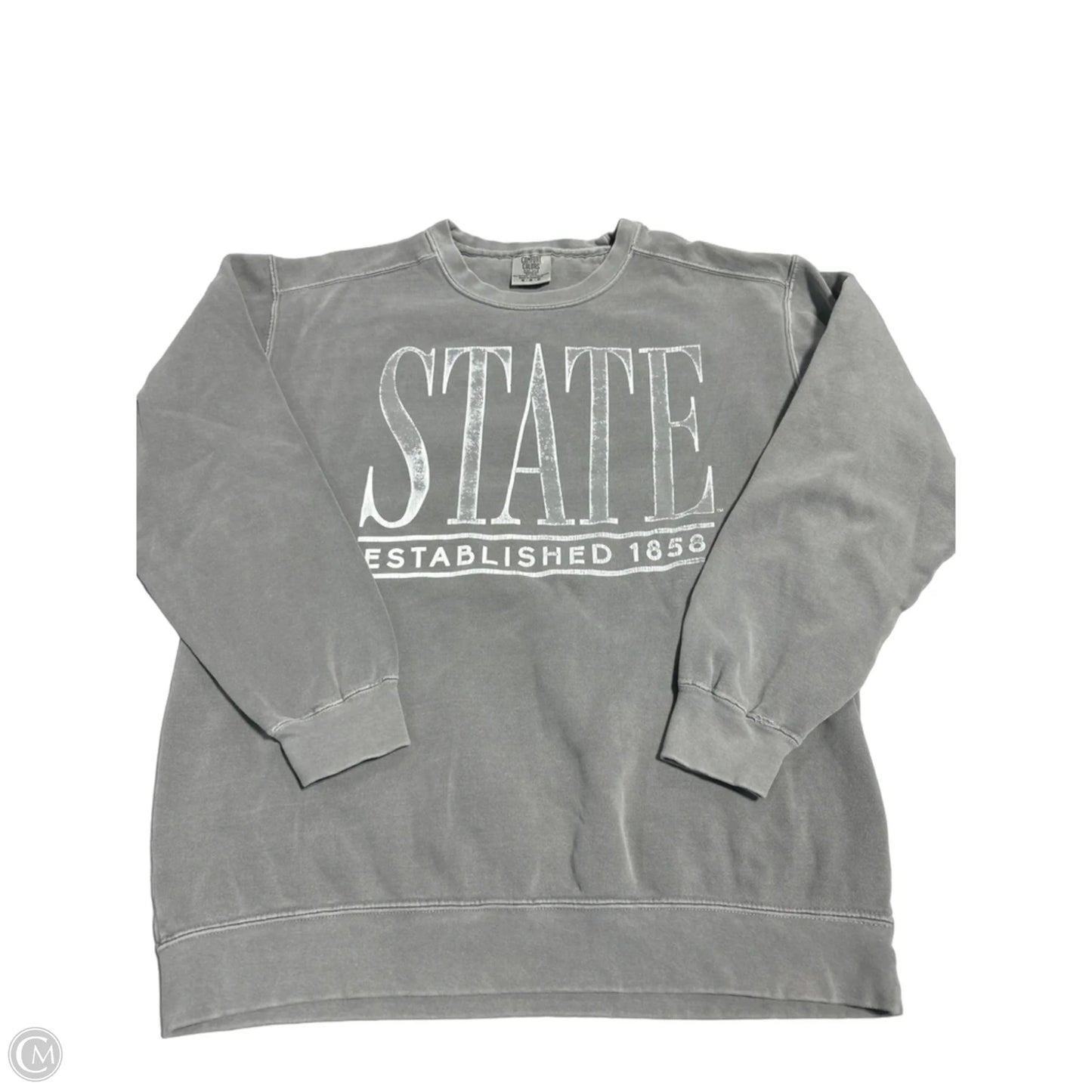 Sweatshirt Crewneck By Comfort Colors In Grey, Size: M
