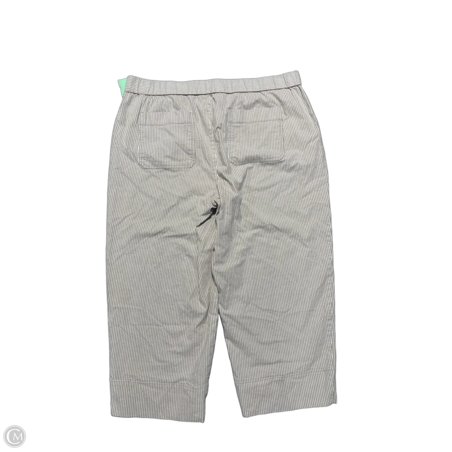 Pants Other By Talbots In Beige, Size: 2x