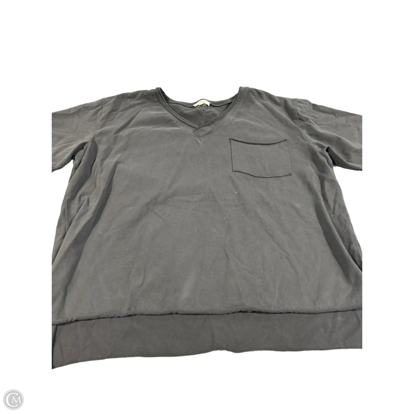 Top Short Sleeve By Cmc In Grey, Size: L