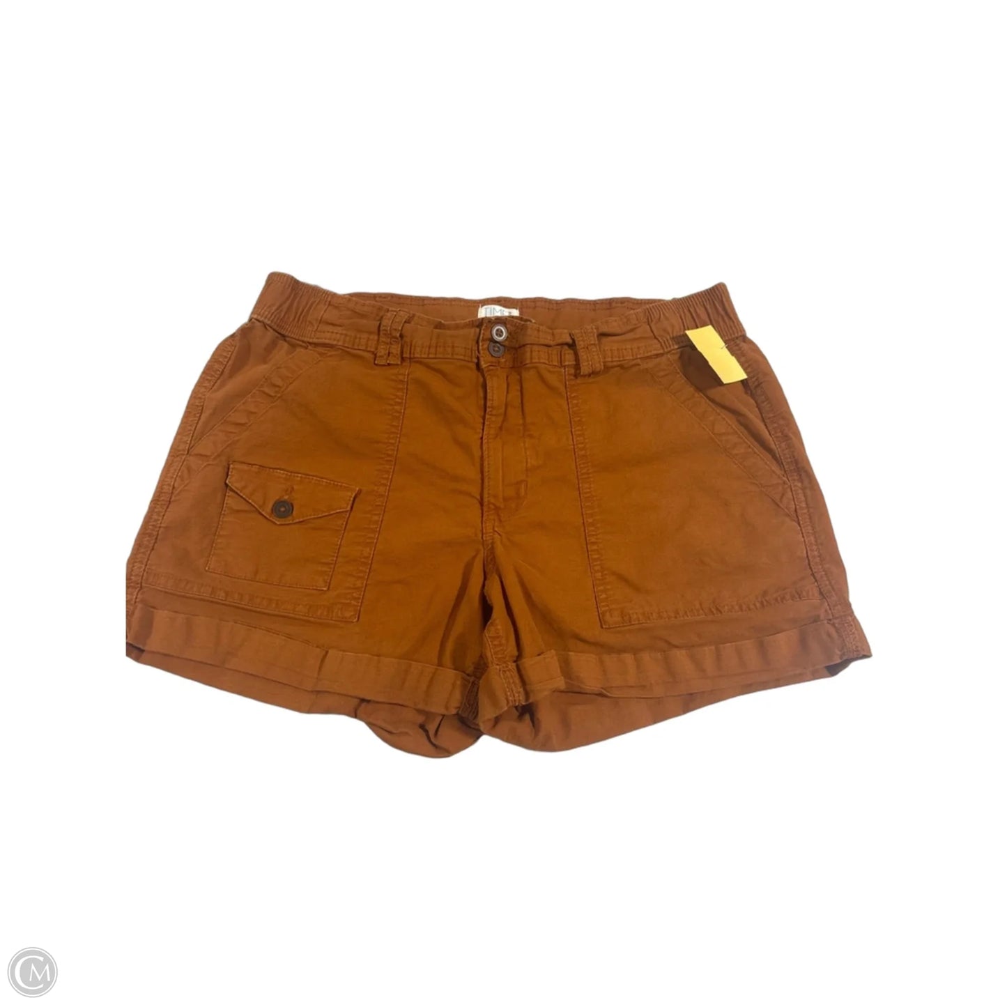 Shorts By Time And Tru In Orange, Size: 12