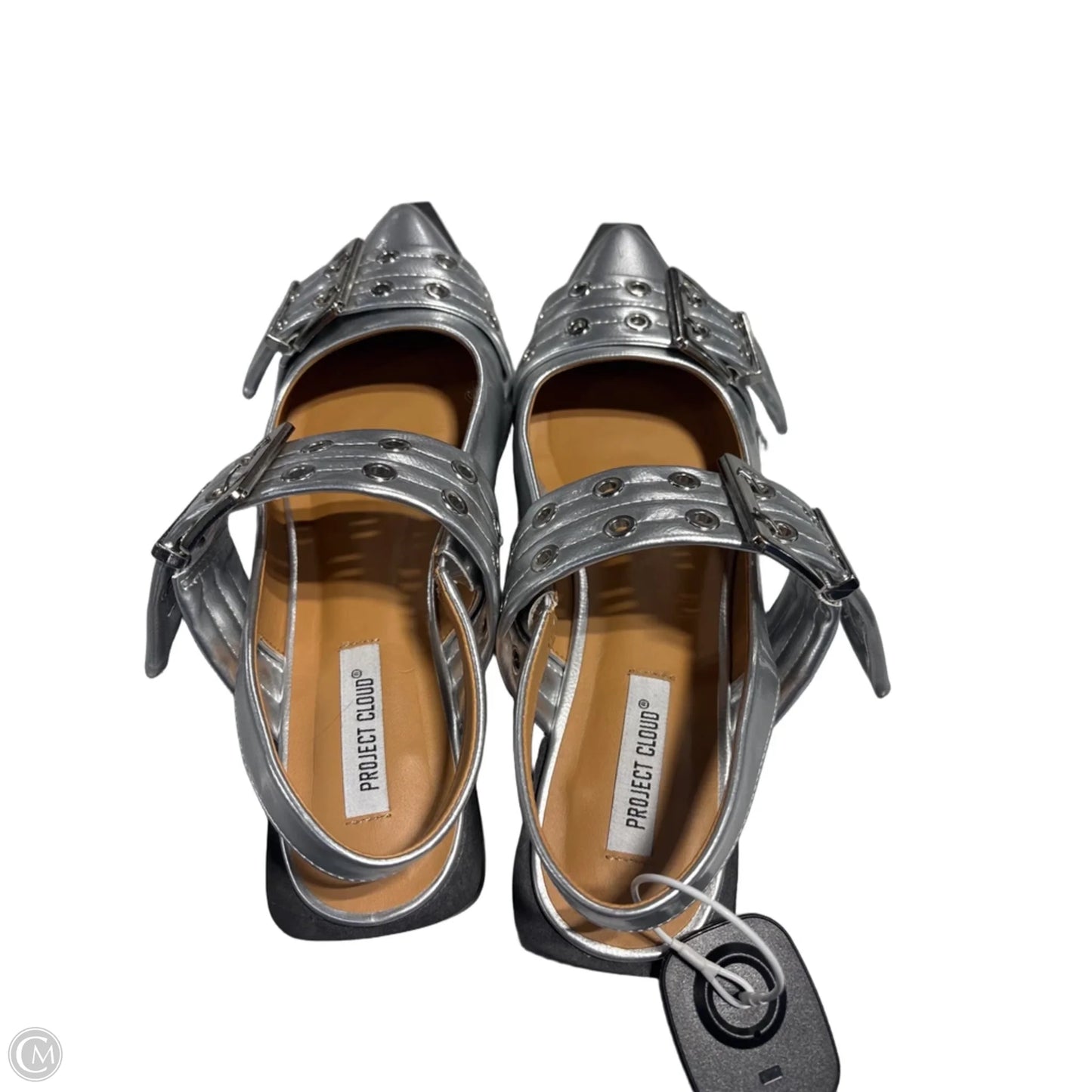 Shoes Flats By Cme In Silver, Size: 9