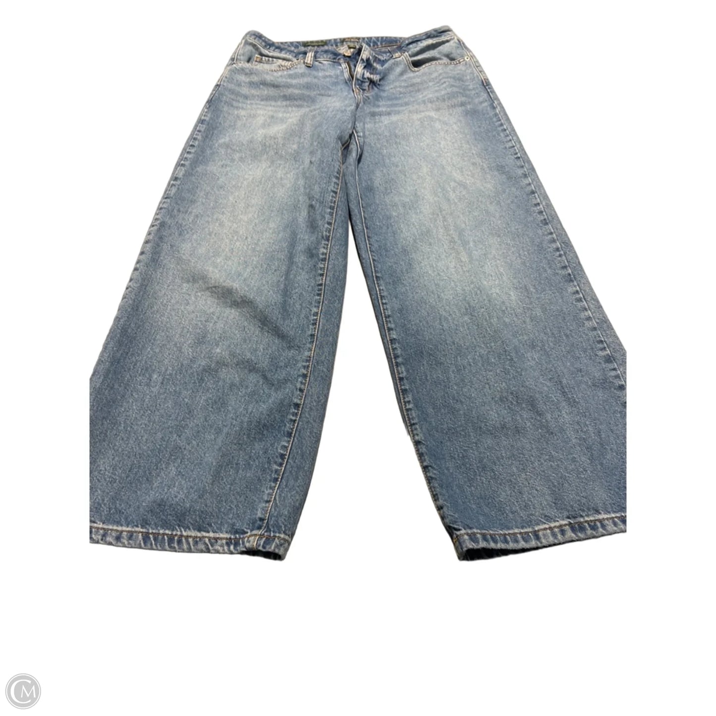 Jeans Wide Leg By Wild Fable In Blue Denim, Size: 8