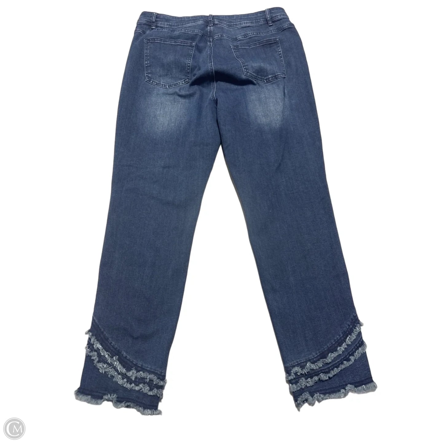 Jeans Skinny By Charlie B In Blue Denim, Size: 16