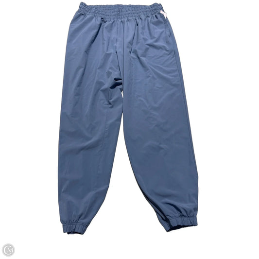 Pants Other By Aerie In Blue, Size: L
