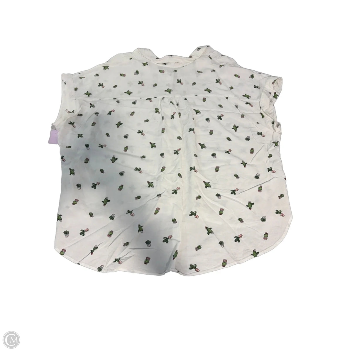 Top Short Sleeve By Lee In White, Size: 2x