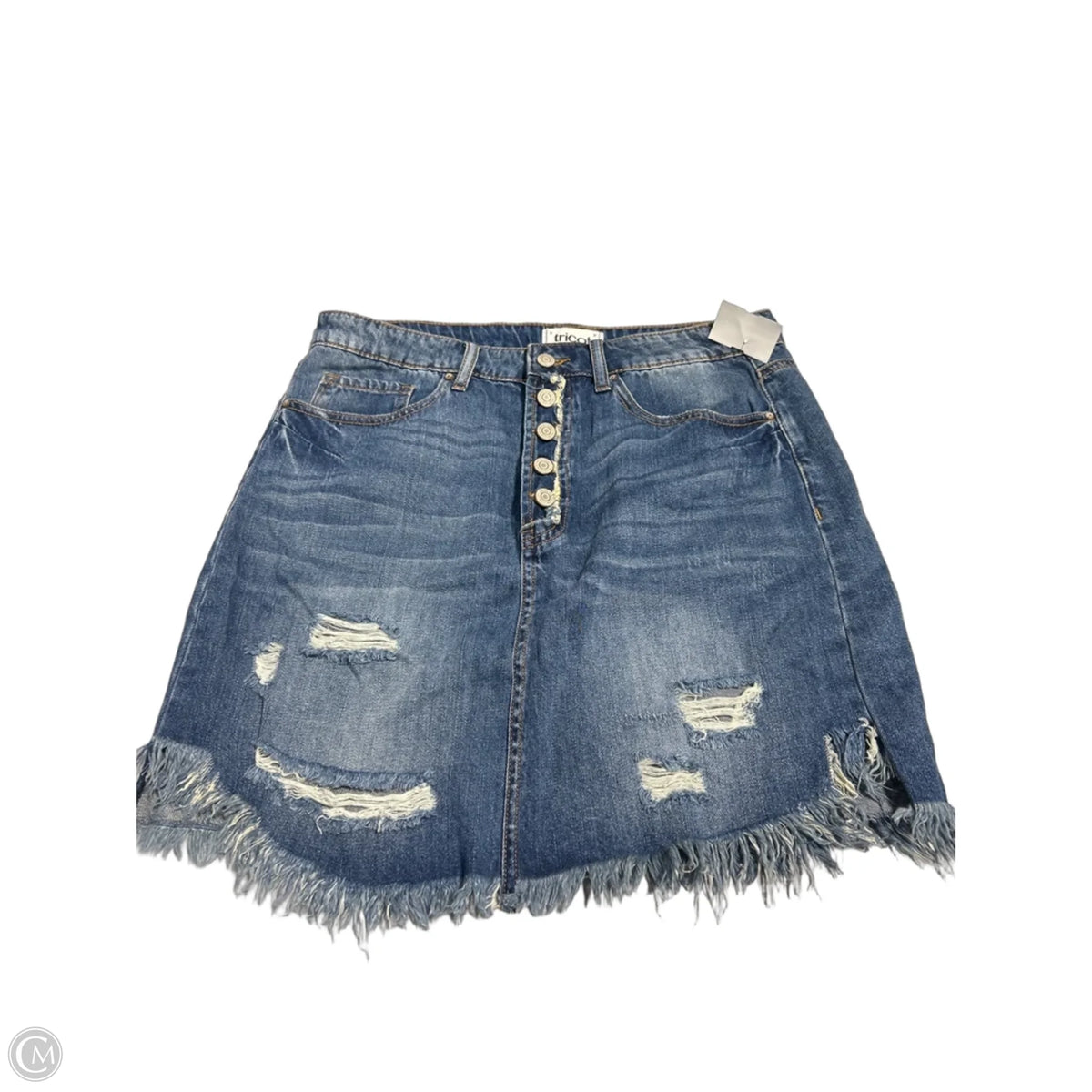 Skirt Mini & Short By Cmc In Blue, Size: L