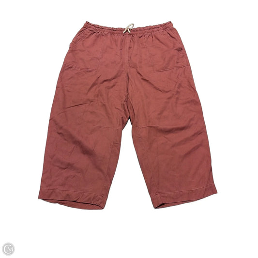 Pants Cargo & Utility By Old Navy In Red, Size: Xxl